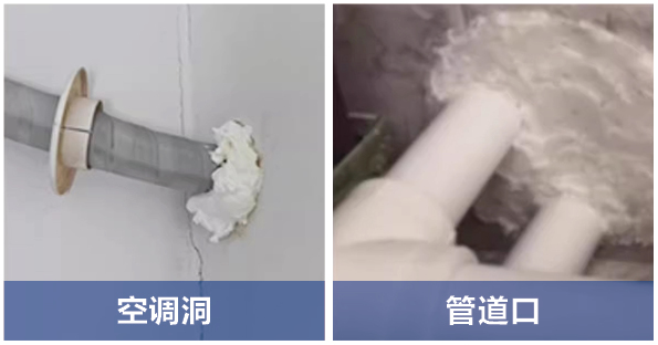 1770627745762225.jpg 魚鷹-發(fā)泡膠(綠瓶)-04.jpg