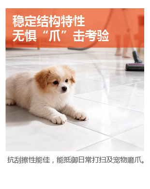 1770630004285642.jpg 冠固達(dá)- 1688匠心磚色系列水洗碳環(huán)彩砂美縫劑-04.jpg